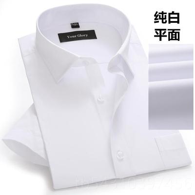 正品夏季男白蓝底色细条纹短衬衫商务正士装银行工作服寸衫袖半袖