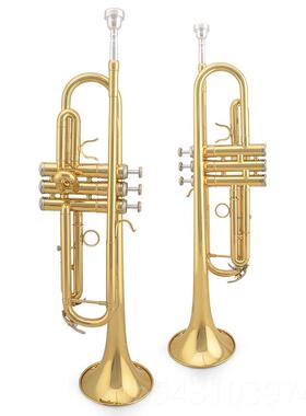 正品金音号降B小调初儿童成人考级通用乐器JYTR-学E100G 漆黄铜金