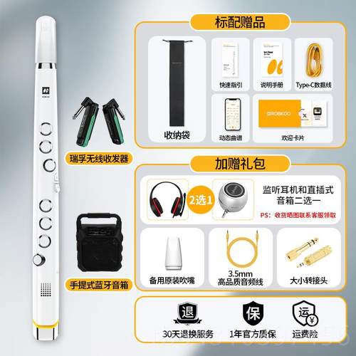 正品ROBKOO锣钹新款小小电笛吹管国产子管真采样电笛萨克斯初电学