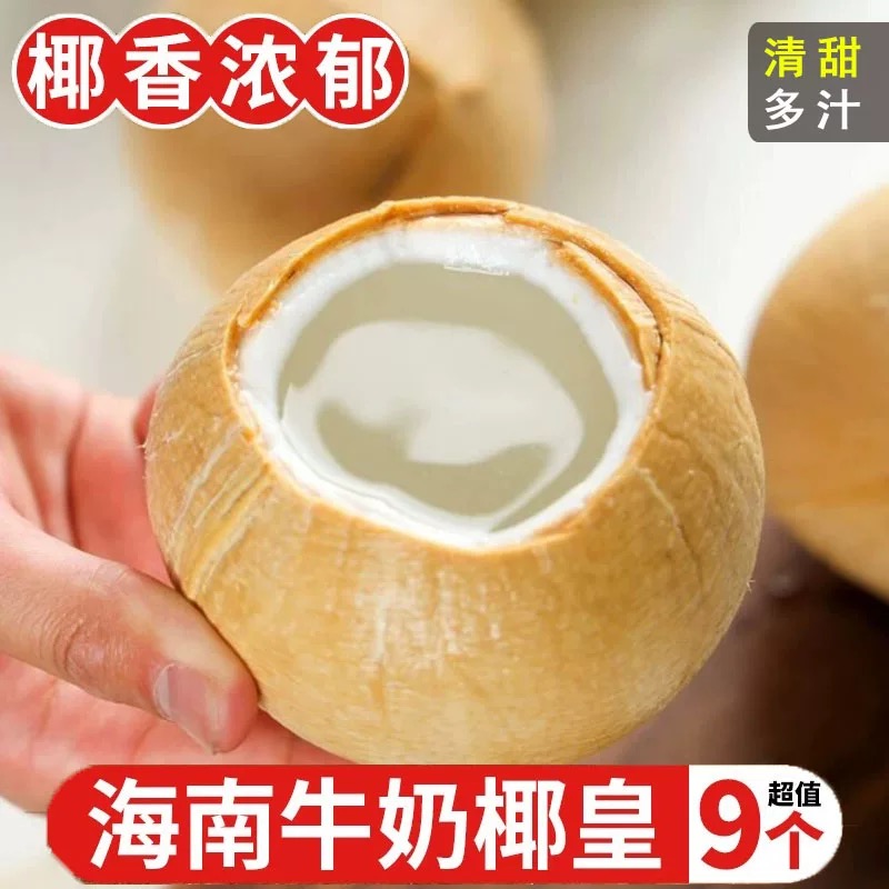 海南牛奶椰皇新鲜椰青白椰子水果