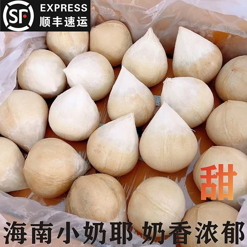 顺丰海南正宗小奶椰皇椰青香水椰煲鸡汤老椰子孕妇新鲜水果椰子肉
