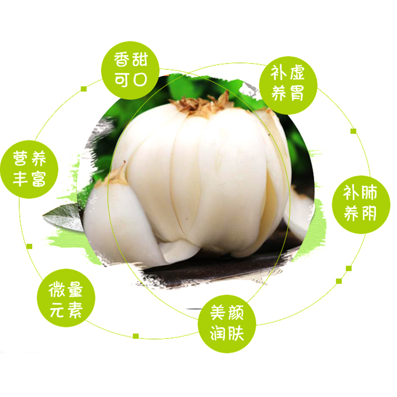 500g大皇兰州鲜甜百合甘肃特产非干特级白合莲子食用现新挖包邮