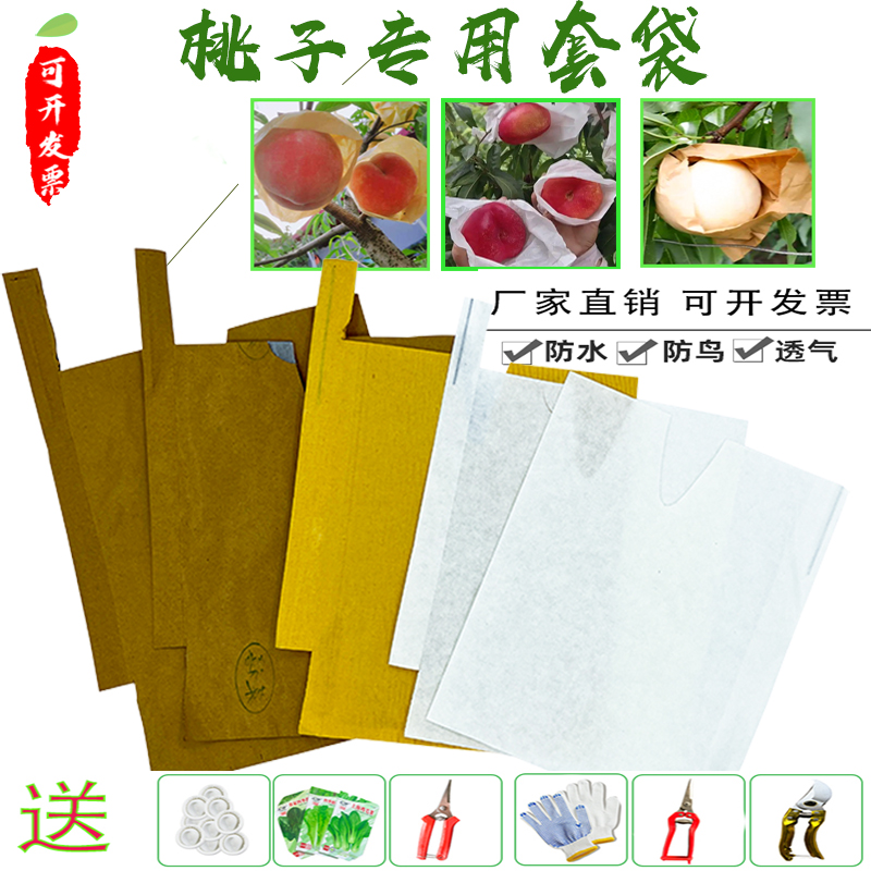 丰康源桃子水蜜桃黄桃冬桃纸套袋