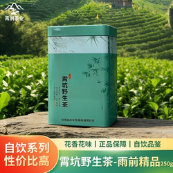 雨前二级高山云雾兰香绿茶26年新茶正宗霄坑绿茶肖坑野生茶口粮茶