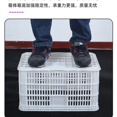 塑料框蔬菜水果筐长方形周转筐镂空加厚商N用特大号快递分货匡箱