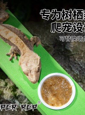 SuperRep爬宠攀爬棍巨人R属睫角守宫树蛙攀Q爬棒造景树栖爬虫用品
