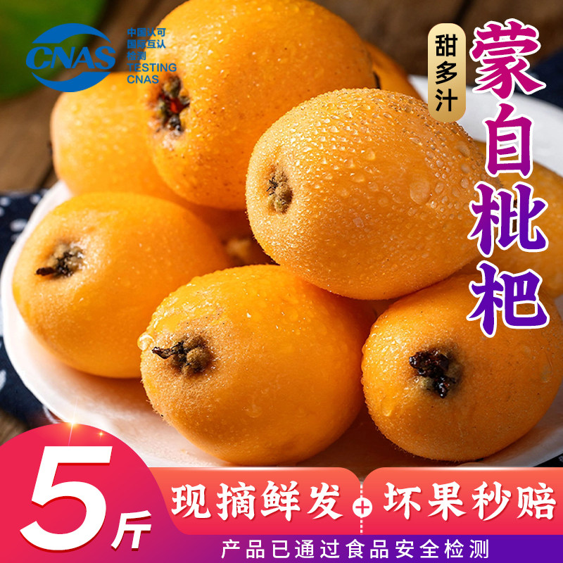 【顺丰速发-现货】5斤云南蒙自枇杷鲜果孕妇新鲜水果时令生鲜图片