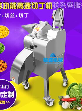 供青应姜切丁机小YHS型黑姜切菜机 不 锈钢商用面设姜三维切丁备