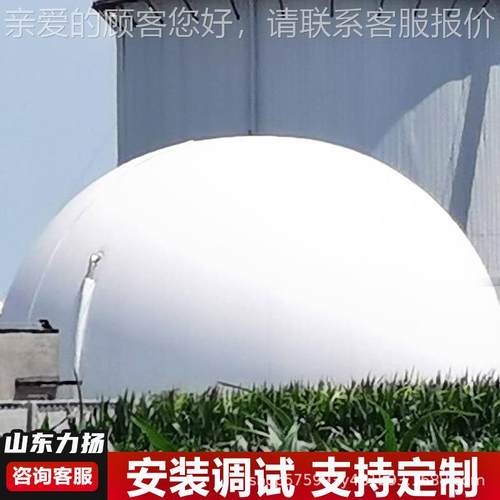 一体化935殖场双膜储气污处理厂柜沼气柜 独立式水沼气养双膜气柜