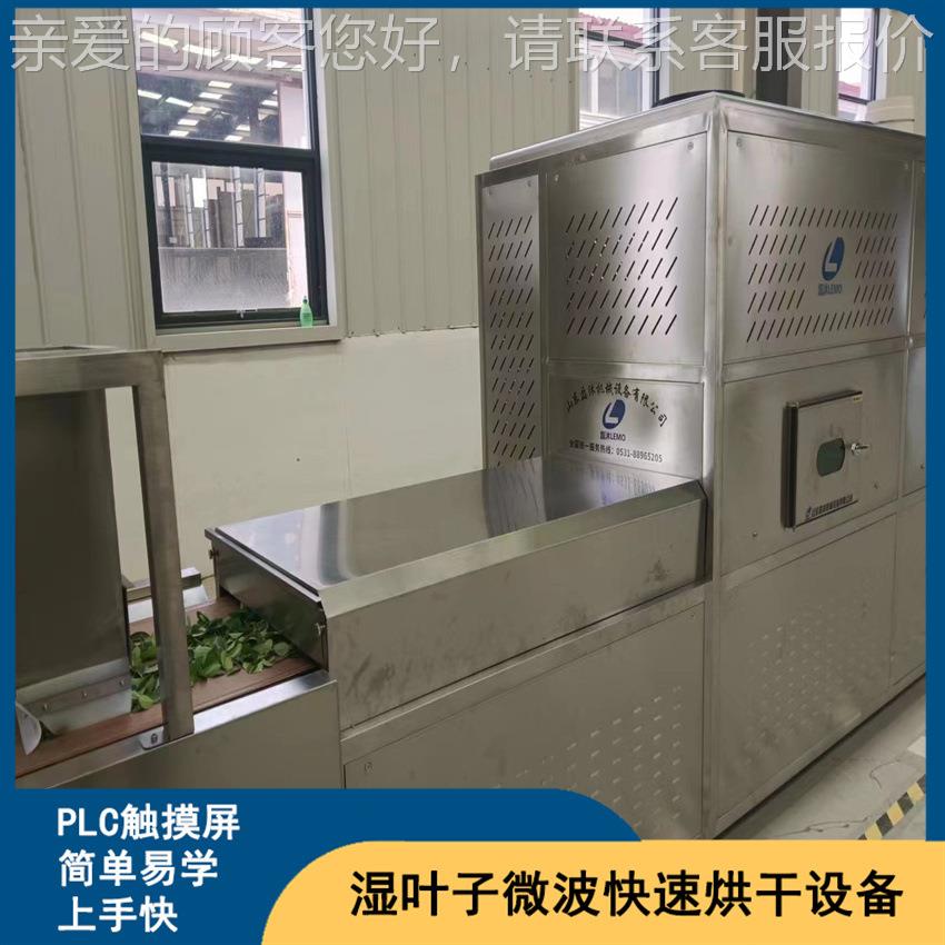 新鲜叶干子波烘干杀菌设备桑叶微燥脱水设备 连 续LM-30KW-运转