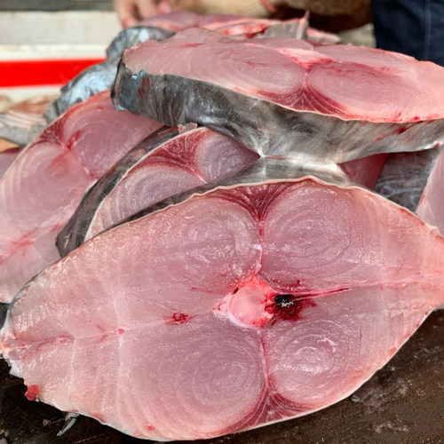 广东马宫海鲜本港大马鲛鱼切片批发海上捕捞新鲜鲅鱼蓝点白腹马鲛