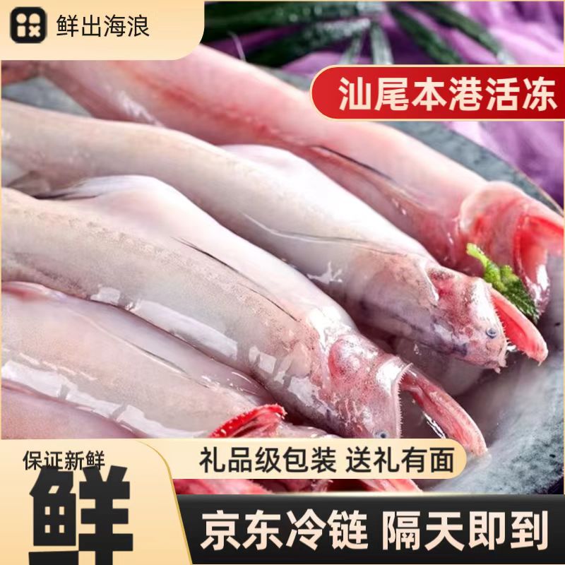 广东汕尾海捕捞本港当天上岸豆腐鱼九龙鱼龙头鱼小鱼船捕批发海鲜