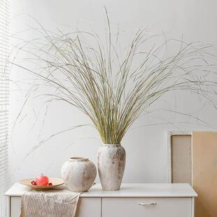 天然蒲苇草干花装饰 侘寂风软装细叶芒草 适用于客厅的干燥花