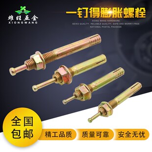 国标击芯膨胀螺丝一钉得敲击式 M12 膨胀螺栓举升机锤击壁虎膨胀M6