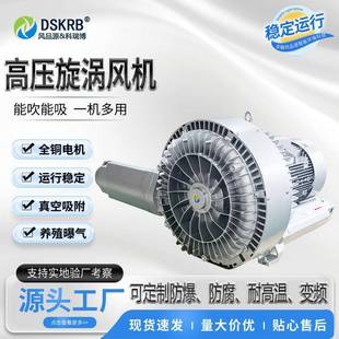 双段式 52S气体输送真空负压12.5kw漩涡气 双叶轮离心高压鼓风机RB