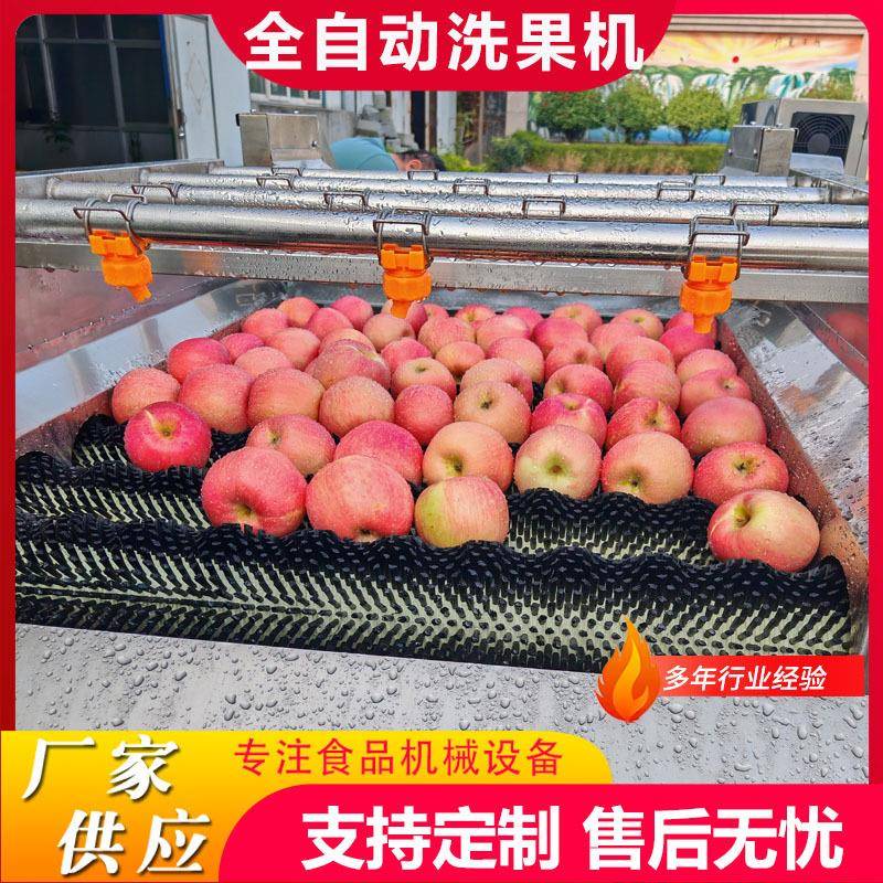桃子清洗风干一体机设备苹果平行毛辊清洗机水果毛刷清洗机
