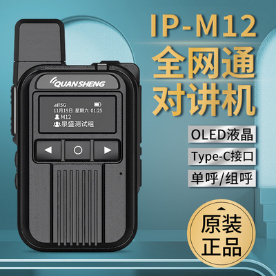 泉盛公网对讲机IP-M12迷你全网通户外车队物流露营登山插卡无线电