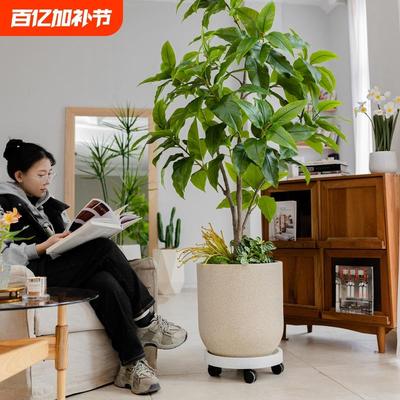 北欧极简镁泥圆形落地花盆大型落地绿植龟背竹琴叶榕大口径花器