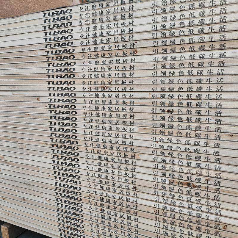 北京ENF级环保实木免漆生态板材全屋定制工厂木工柜子