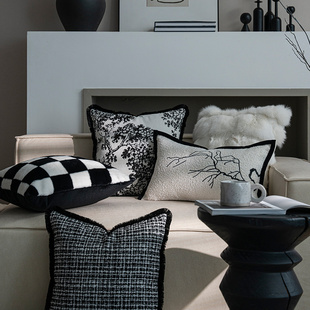 精选法式高级感轻奢客厅沙发抱枕靠垫双面提花黑色卧室床头样板间