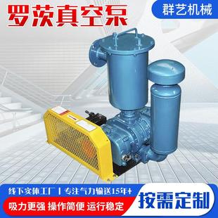 微型罗茨真空泵立式 厂家定制水环式 增压泵全自动小型罗茨真空泵