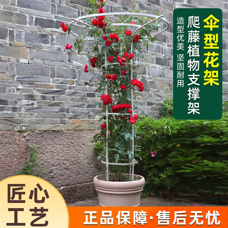 阳台伞型花架蔷薇爬藤架月季铁线莲支架铁艺花柱支撑杆爬藤架子