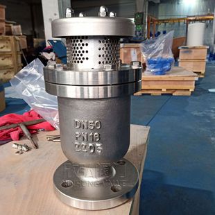 快速排气阀 复合式 QB1单口法兰排气阀 P41X双口2205双相钢排气阀