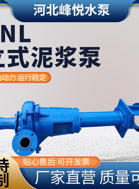 厂家PNL泥浆泵3PNL立式 河道清淤泥浆泵污水泵抽粪打井勘探液下泵