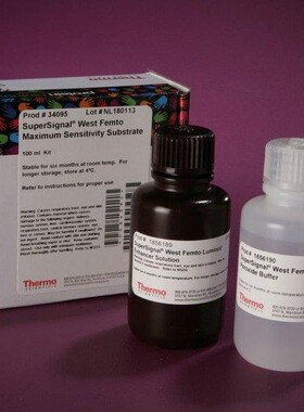 THERMO A53226 Pierce Rapid Gold BCA蛋白测定试剂盒