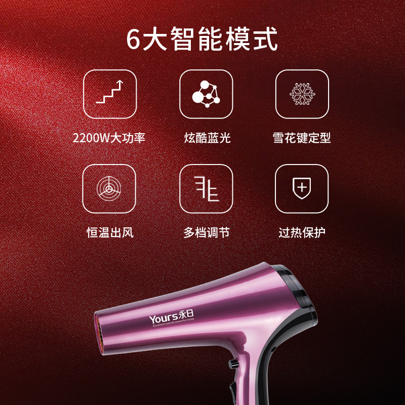 永日电吹风大功率发廊理发店大B风力吹风机家用吹风筒发型师专用