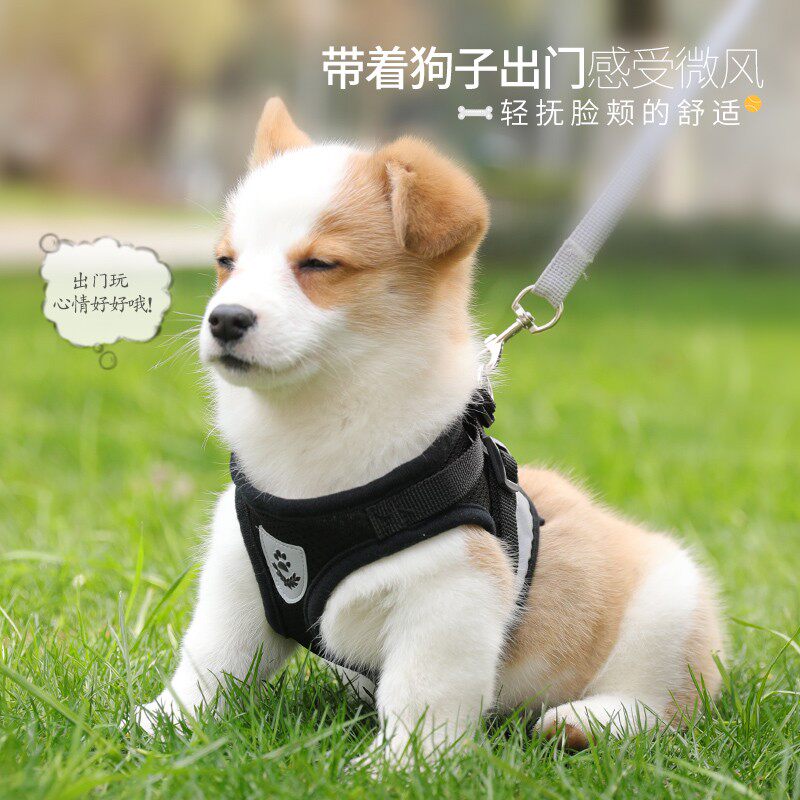 狗狗牵引b绳狗链反光背心胸背带狗链子狗绳子遛狗绳小型犬泰迪用