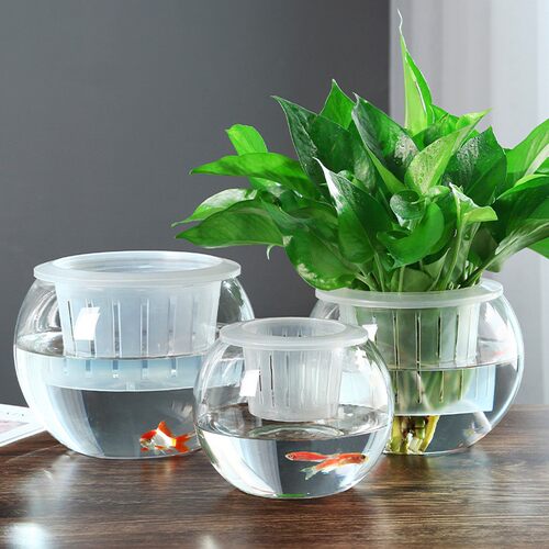 玻璃瓶水培植物透明玻璃花瓶容器绿萝花盆圆O球形鱼缸水养小号器
