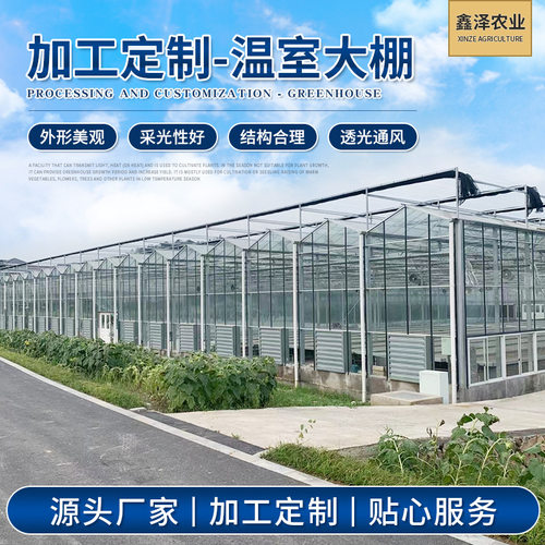 玻璃温室 连栋薄膜温室 智能温室大棚 花卉种植大棚
