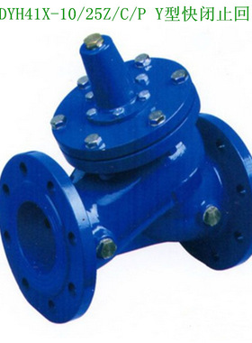 YKH41X-16快闭止回阀 DYH41X-10/16快闭式止回阀 DY30AX-16止回阀