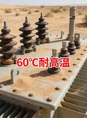 10kVS13-800kVA油浸式配电变压器耐高温沙漠地区供电