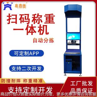 家多功能自动拍照称重扫码 厂 一体机自动分拣快递物流行业