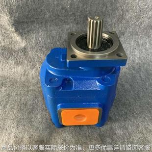 1224 多种规格 071 375齿轮泵