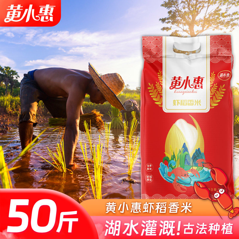 黄小惠虾稻香米50斤江汉大米当季新米虾田油粘长粒米25kg批发商用