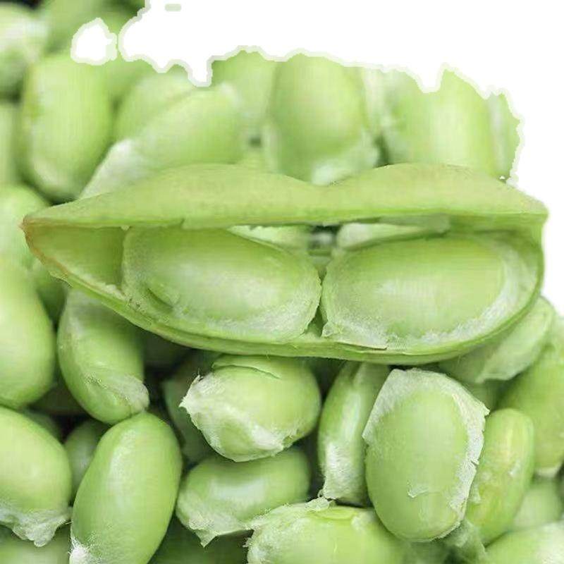 安徽阜阳特产新鲜毛豆农家自种现摘现发带壳豆子颗粒饱满炒菜美食,水产肉类/新鲜蔬果/熟食,新鲜豆类,淘宝优惠券,粉丝福利购,淘宝优惠卷