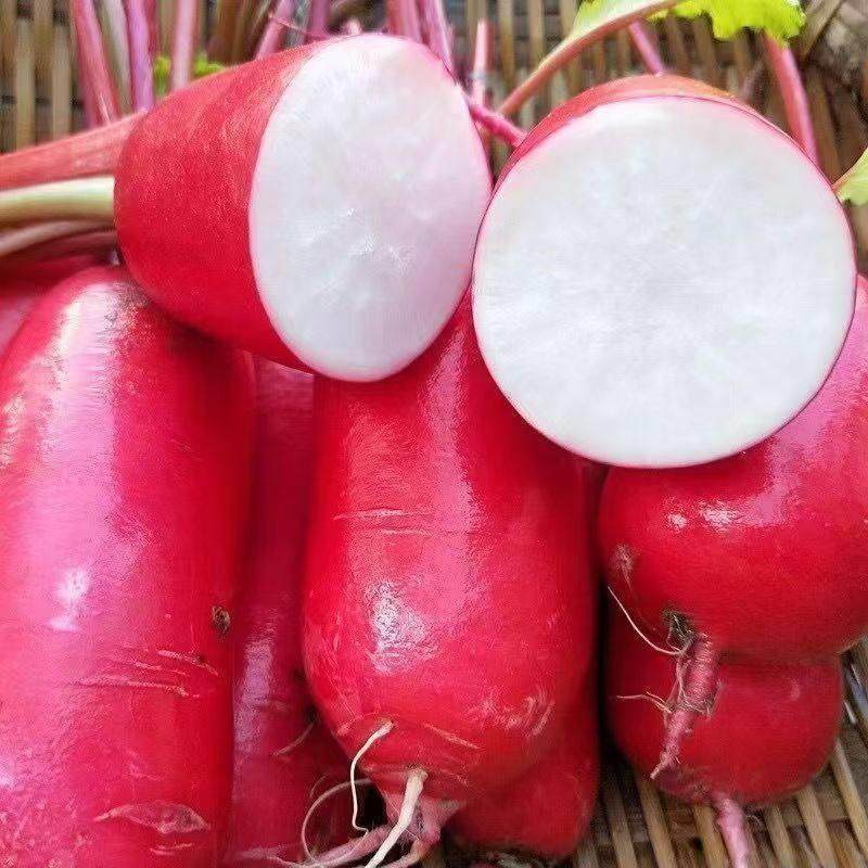 山东特产红皮白心罗卜泡菜专用现挖现发红皮白肉罗卜新鲜蔬菜,水产肉类/新鲜蔬果/熟食,萝卜/胡萝卜,淘宝优惠券,粉丝福利购,淘宝优惠卷
