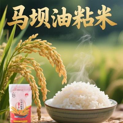 韶关正宗马坝油粘米10斤大
