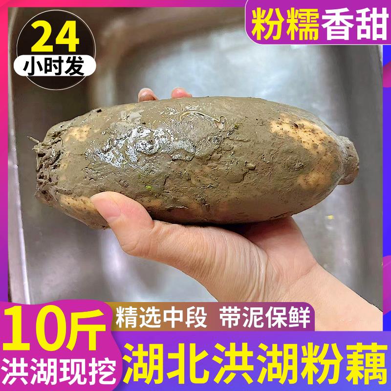 正宗洪湖粉藕莲藕新鲜现挖糯米藕10煲汤藕九孔湖北特产蔬菜斤包邮
