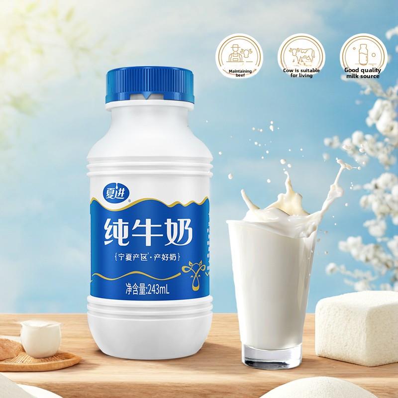 夏进纯牛奶全脂早餐牛奶整箱243ml*15瓶装