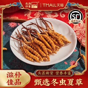 北海印象冬虫夏草正品头茬干货虫草礼盒装泡酒送礼滋补营养品