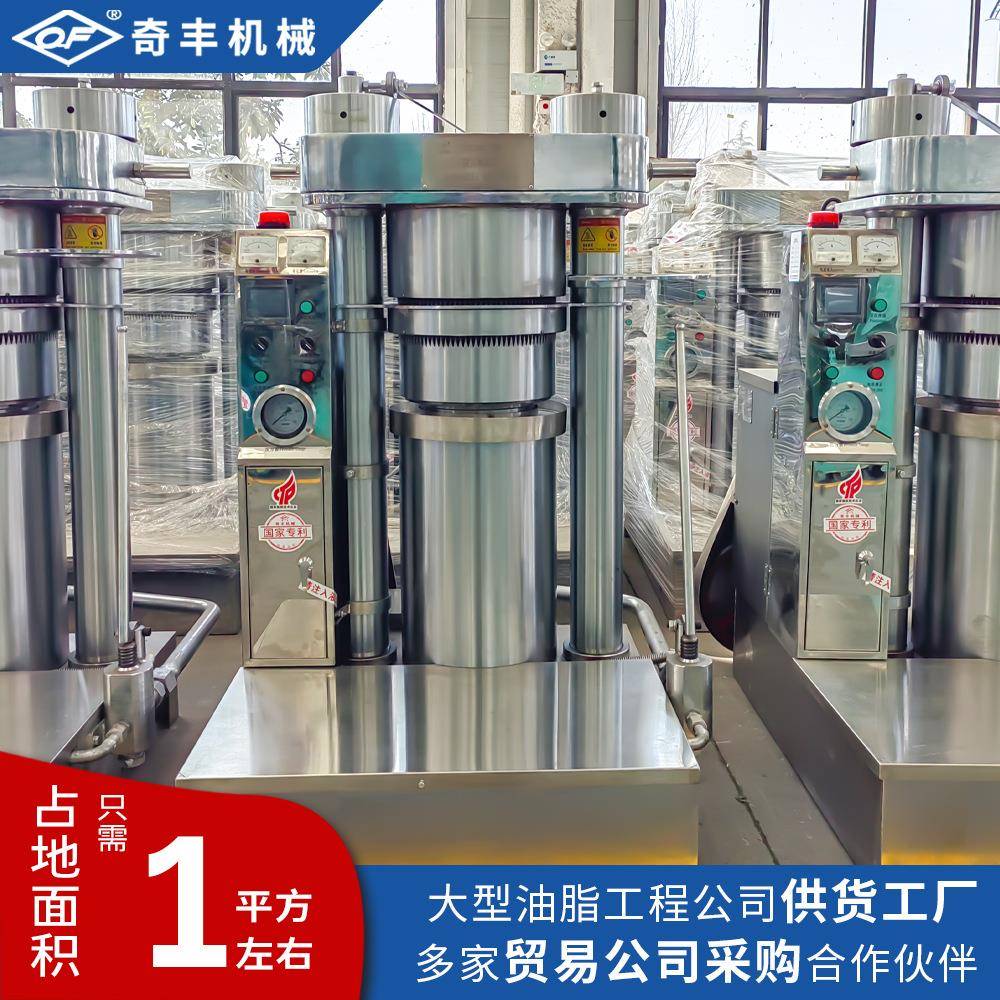 全自动液压榨油机立式20kg芝麻香油机亚麻籽榨油机自动上料