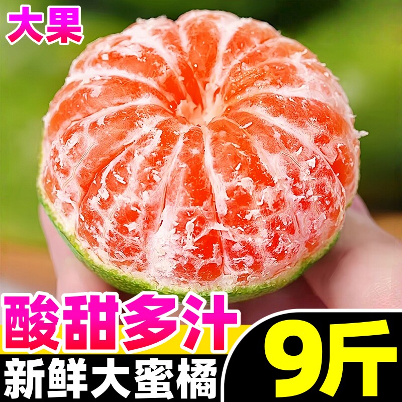 云南蜜桔早熟青皮橘子9斤酸甜新鲜桔子应季孕妇水果无籽绿皮橘子