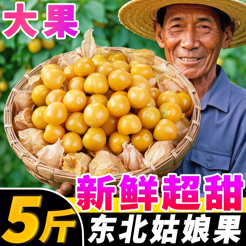 【新鲜姑娘果热卖榜】官方推荐