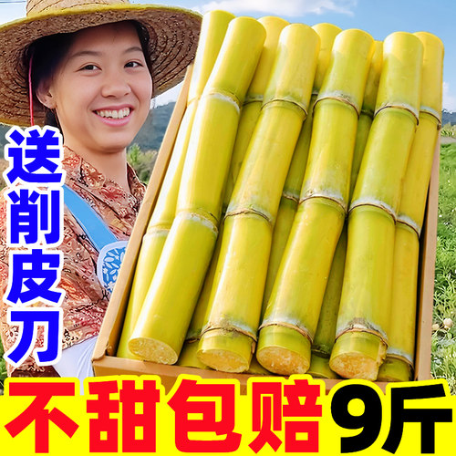 【新鲜甘蔗热卖榜】官方推荐