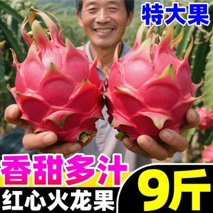 广西火龙果红心新鲜10斤当季海现摘南孕妇水果金都一号整箱红肉果