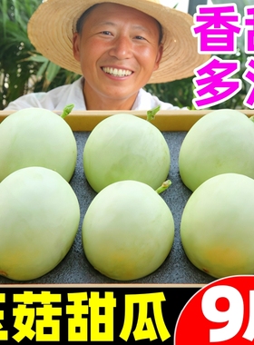 海南冰淇淋玉菇甜瓜新鲜10斤应当季水果玉菇冰淇淋哈翡翠香甜密瓜